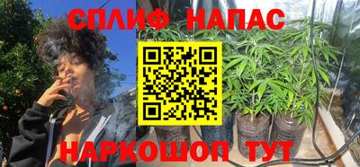 сатива Нягань